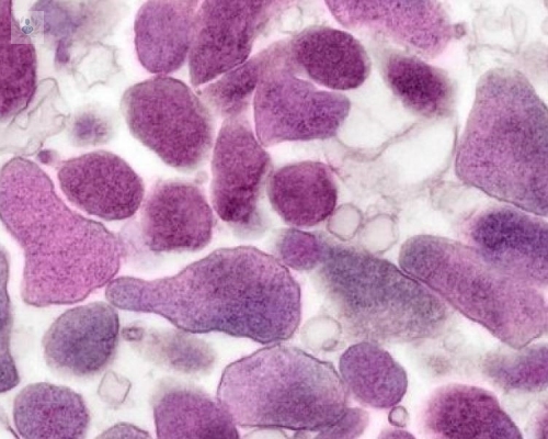 La superbacteria que amenaza la salud sexual: Micoplasma Genital