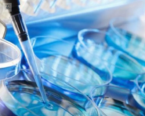 congelacion-de-ovulos-proceso