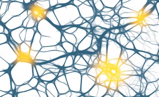 mayores-riesgos-para-alguien-epileptico imagen de artículo