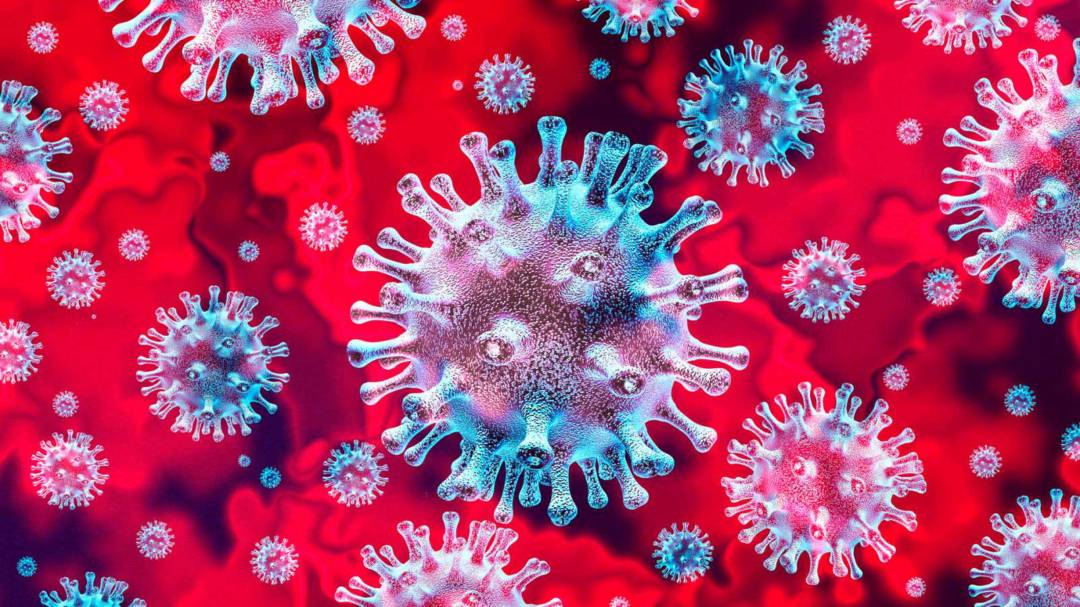 ¿El Coronavirus puede hacer más resistente a una persona?