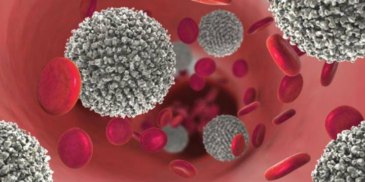 de-que-se-enferma-la-sangre imagen de artículo