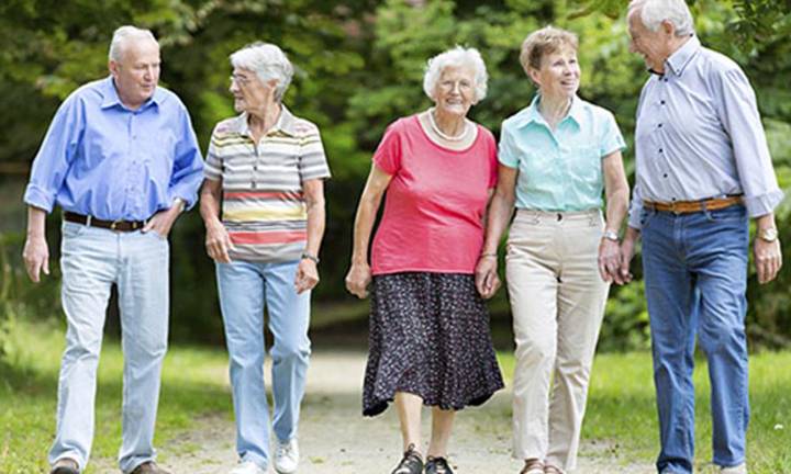 osteoporosis-sarcopenia-osteosarcopenia imagen de artículo