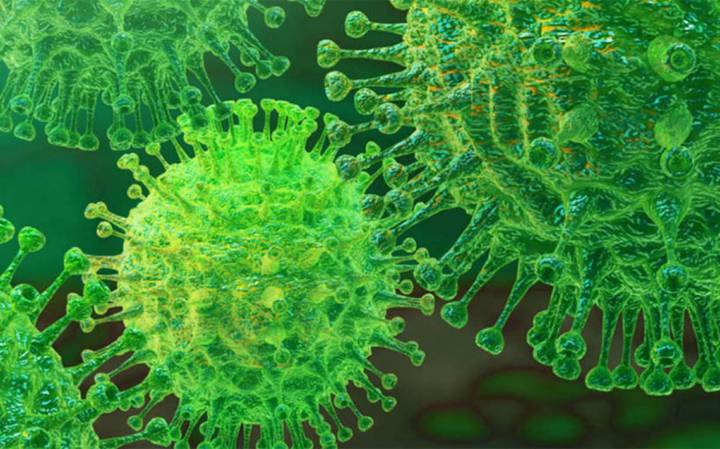 rebrotes-coronavirus imagen de artículo