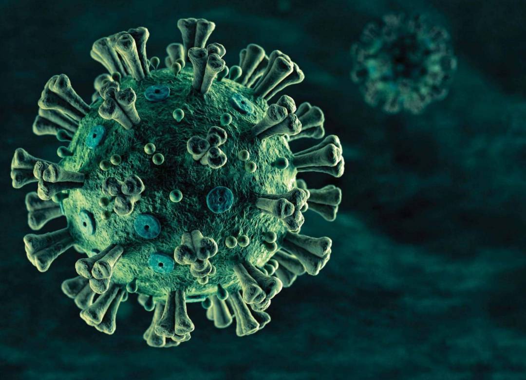 Nuevas especulaciones sobre la situación del Coronavirus