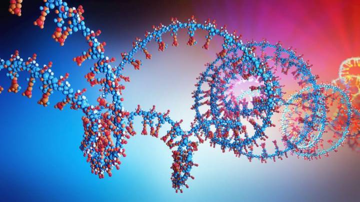 los-ultimos-3-sintomas-del-coronavirus-incorporados imagen de artículo