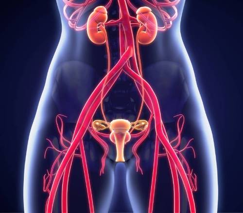 de-que-se-trata-el-sindrome-congestivo-pelvico imagen de artículo