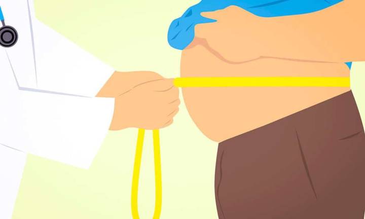incorporacion-de-la-obesidad imagen de artículo