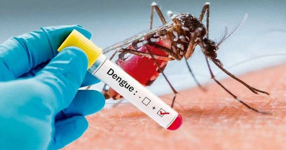 Dengue: fumigar ayuda a evitar la propagación del virus