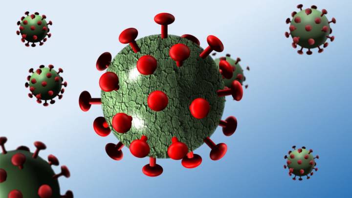 se-duplico-la-mortalidad-en-argentina-en-el-ultimo-mes imagen de artículo