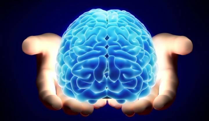 el-cacao-para-la-salud-neurologica imagen de artículo