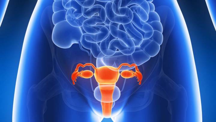 ausencia-de-utero-primer-trasplante-de-utero-en-espana imagen de artículo