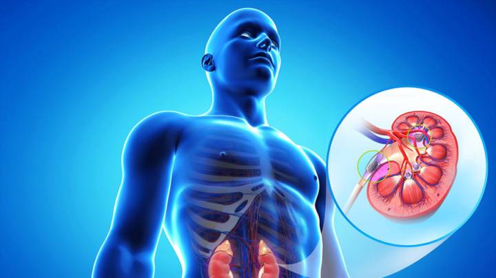como-han-vivido-los-pacientes-con-insuficiencia-renal-cronica-durante-la-pandemia imagen de artículo