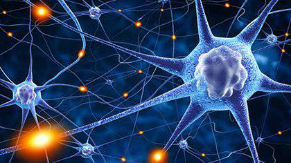 dia-internacional-de-la-epilepsia-lo-que-debe-saber imagen de artículo