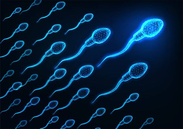 la-varicocele-como-un-paso-a-la-infertilidad imagen de artículo