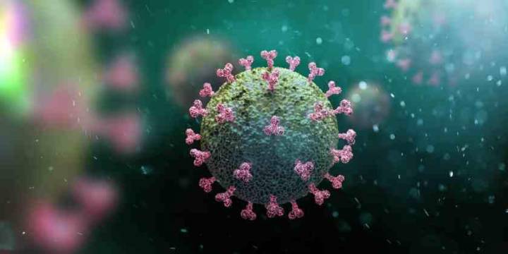 dispositivo-que-permite-determinar-que-pacientes-requeriran-terapia-intensiva imagen de artículo