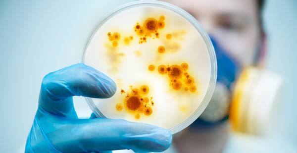 enfermedades-transmisibles imagen de artículo