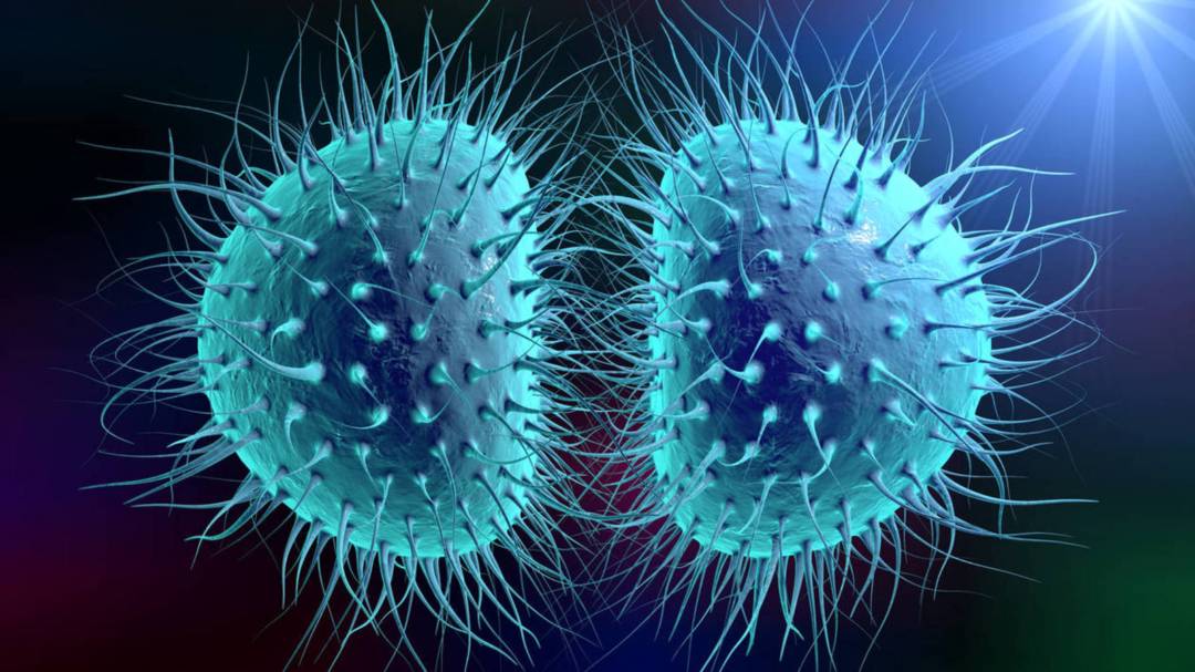 Timely detection of Gonorrhea and Chlamydia
