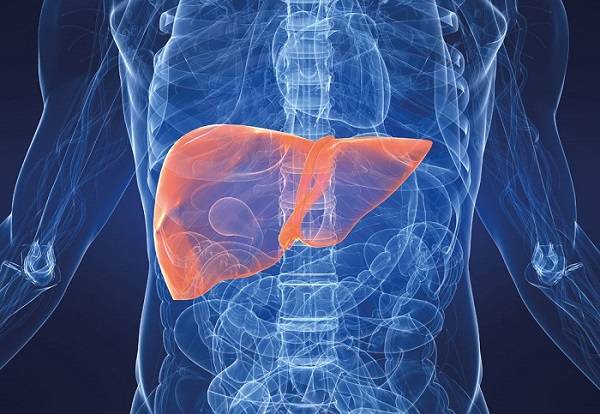 cirugia-hepatica-cirugia-ahorradora-de-parenquima imagen de artículo