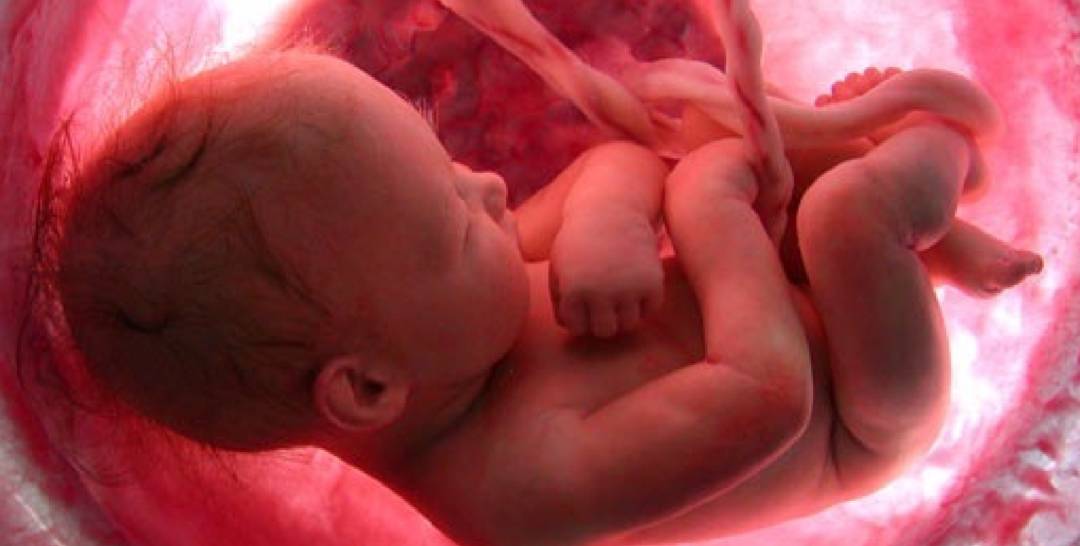 asfixia-perinatal-algo-que-deben-saber-las-embarazadas imagen de artículo