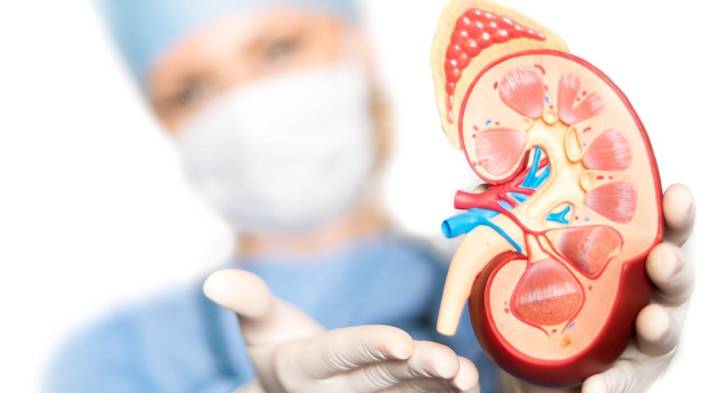 conociendo-todo-sobre-el-trasplante-de-rinon imagen de artículo