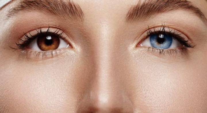 descripcion-de-algunas-genodermatosis-parte-1 imagen de artículo