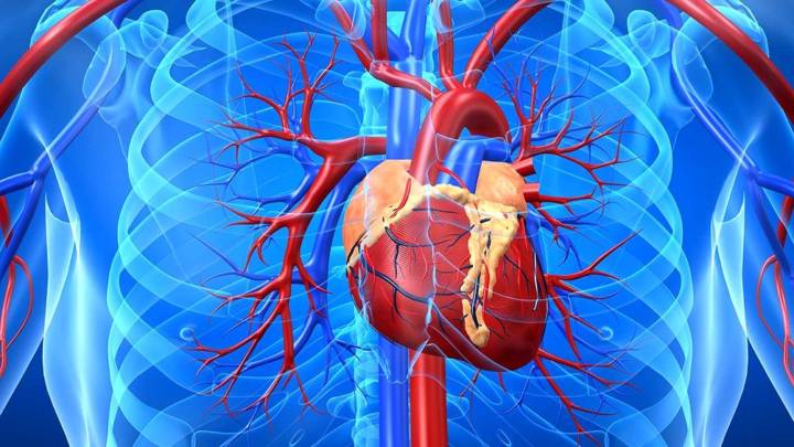 diez-consejos-para-cuidar-el-corazon imagen de artículo