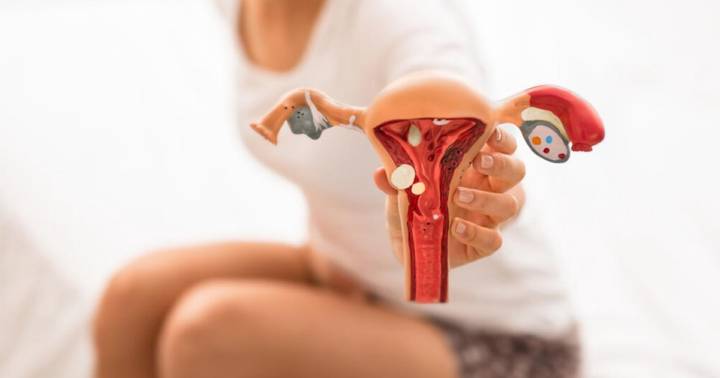 endometriosis-una-enfermedad-menstrual imagen de artículo