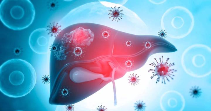 hepatitis-virales imagen de artículo