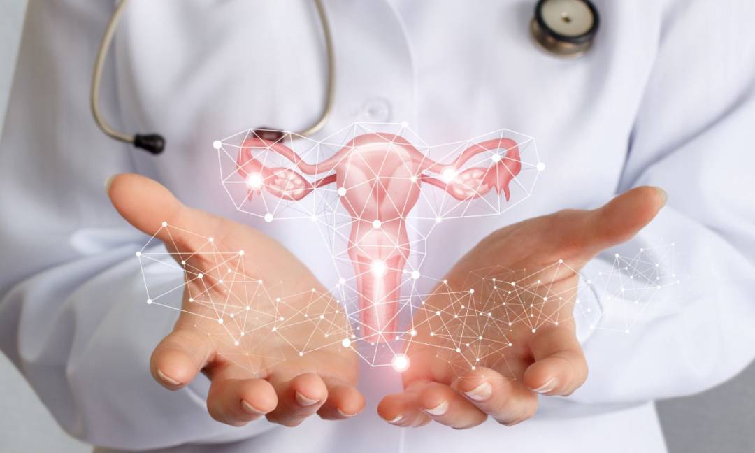 plasma-rico-en-plaquetas-y-su-ayuda-en-la-fertilidad imagen de artículo