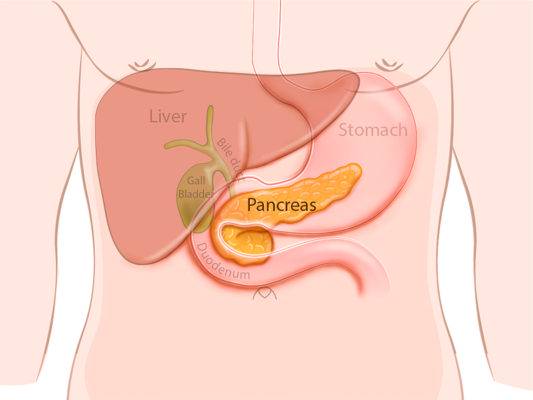 porque-se-da-la-insuficiencia-pancreatica-exocrina imagen de artículo