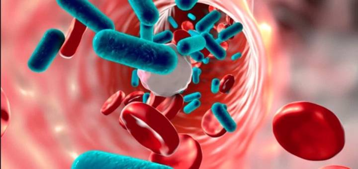 infecciones-recurrentes-cuales-son-las-mas-frecuentes imagen de artículo