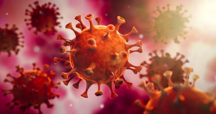 nueva-ola-de-coronavirus-en-verano imagen de artículo