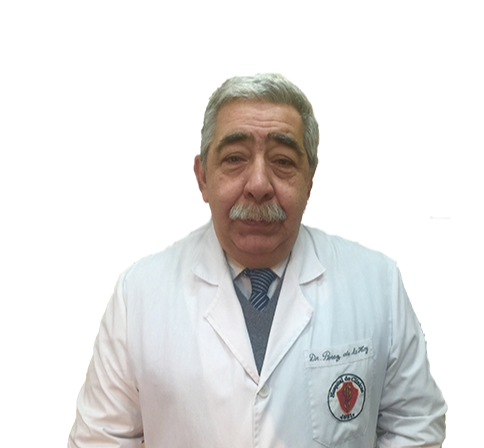 Ricardo Alfredo Pérez de la Hoz imagen perfil